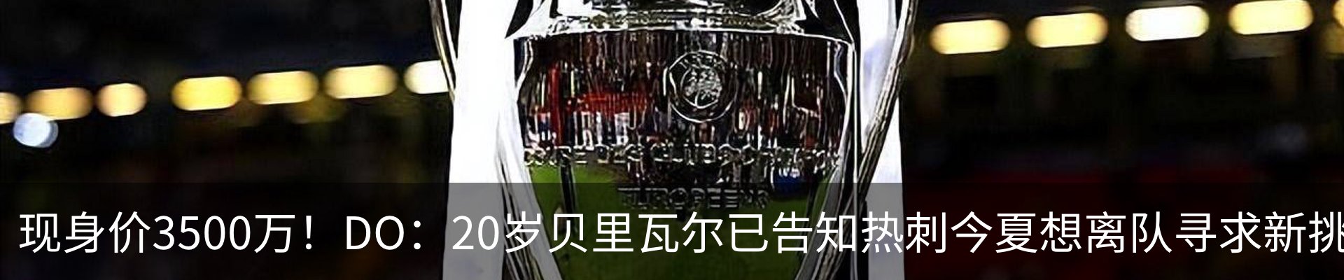 最新动态